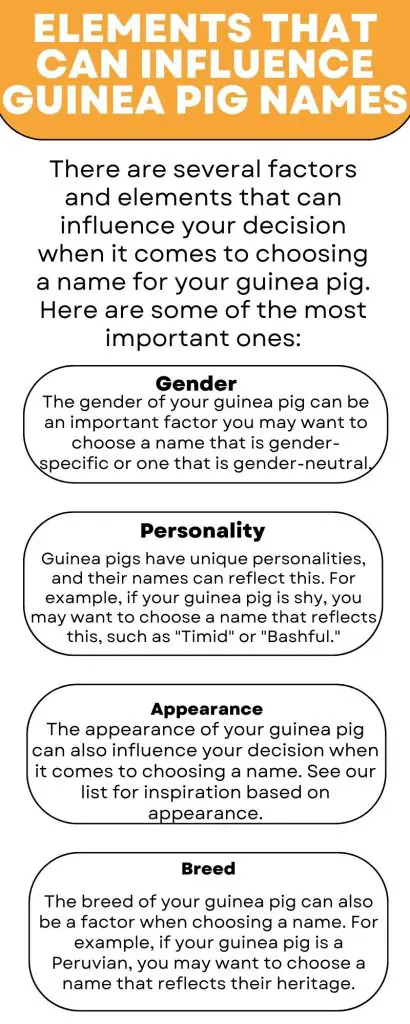Elements That Can Influence Guinea Pig Names