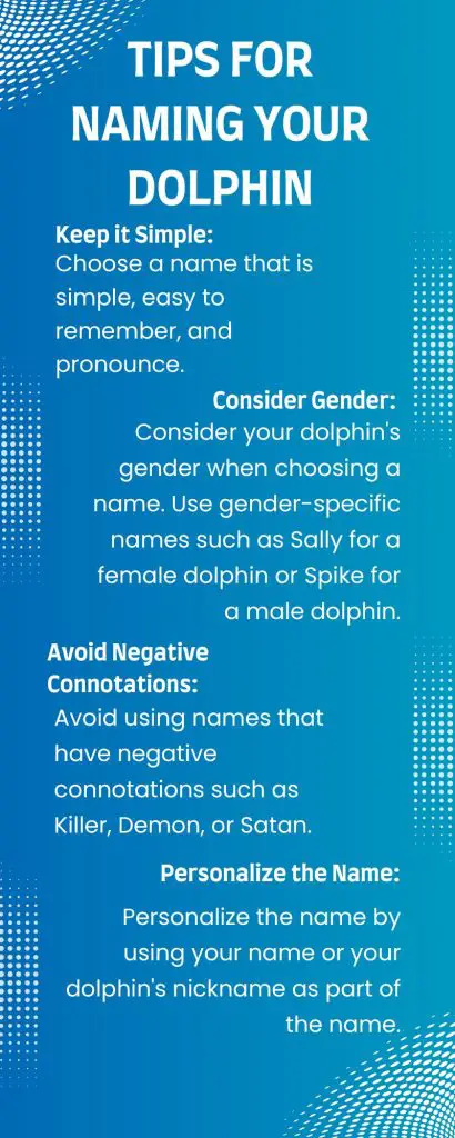 Tips for Naming Your Dolphin
