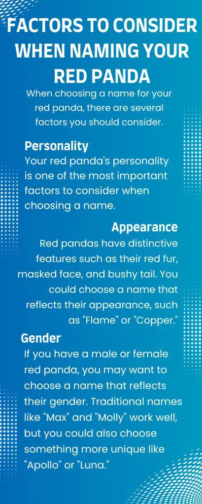 Factors to Consider When Naming Your Red Panda