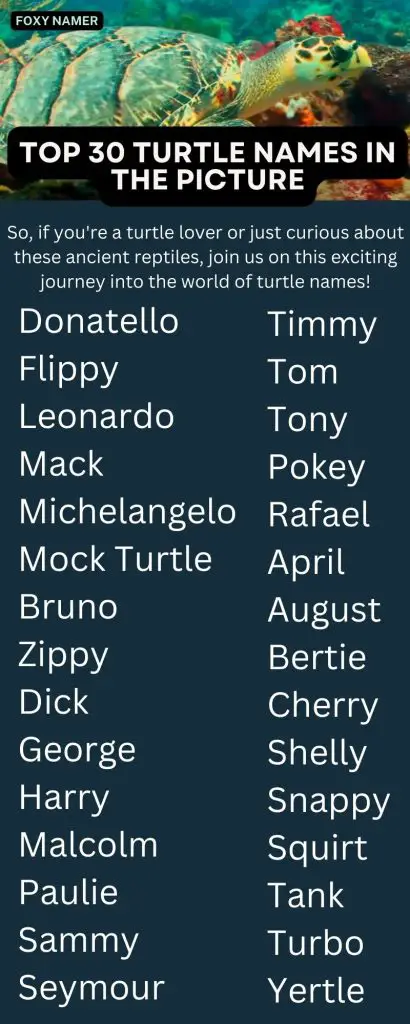 Best Turtle Names