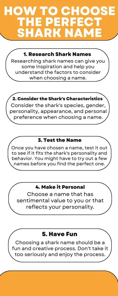 How to Choose the Perfect Shark Name