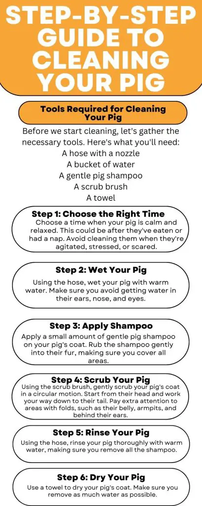 Step-by-Step Guide to Cleaning Your Pig