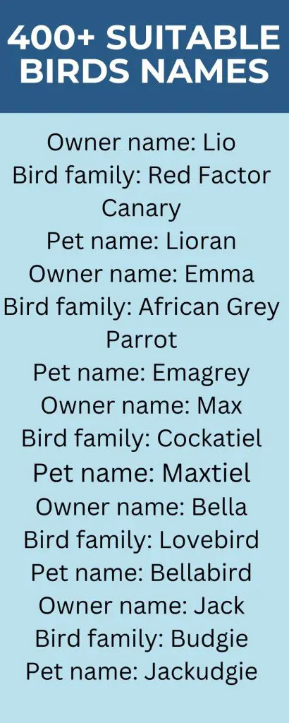 Bird Name Ideas