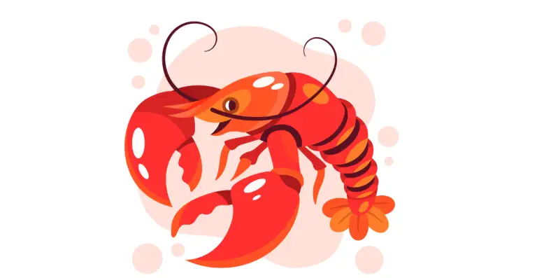 Cool Creative Unique Cute & Funny Pet Lobster Names