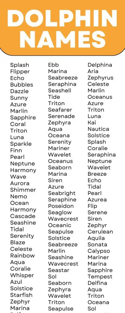 Dolphin Names