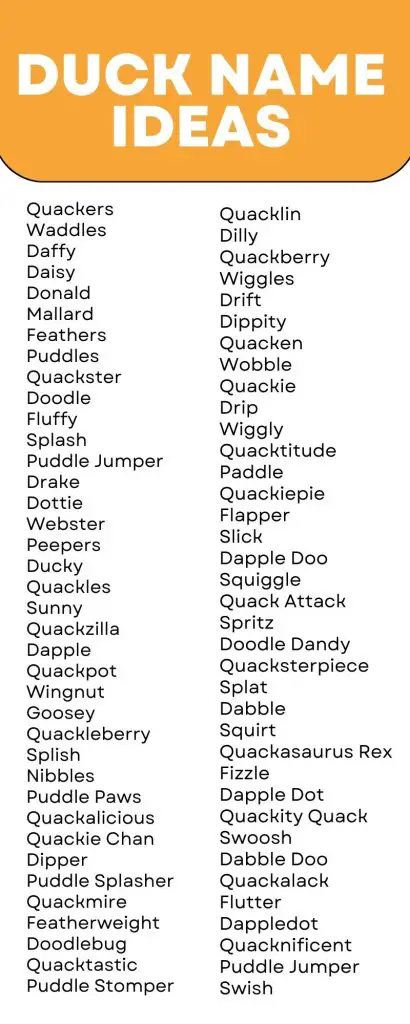 Duck Names