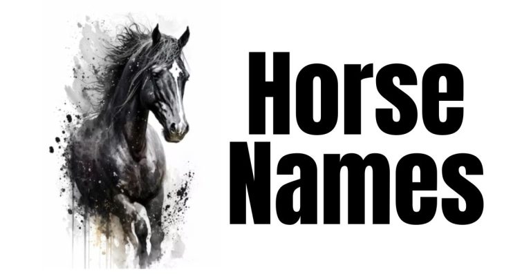 Explore Cool Creative Unique Interesting Cute & Funny Horse Names