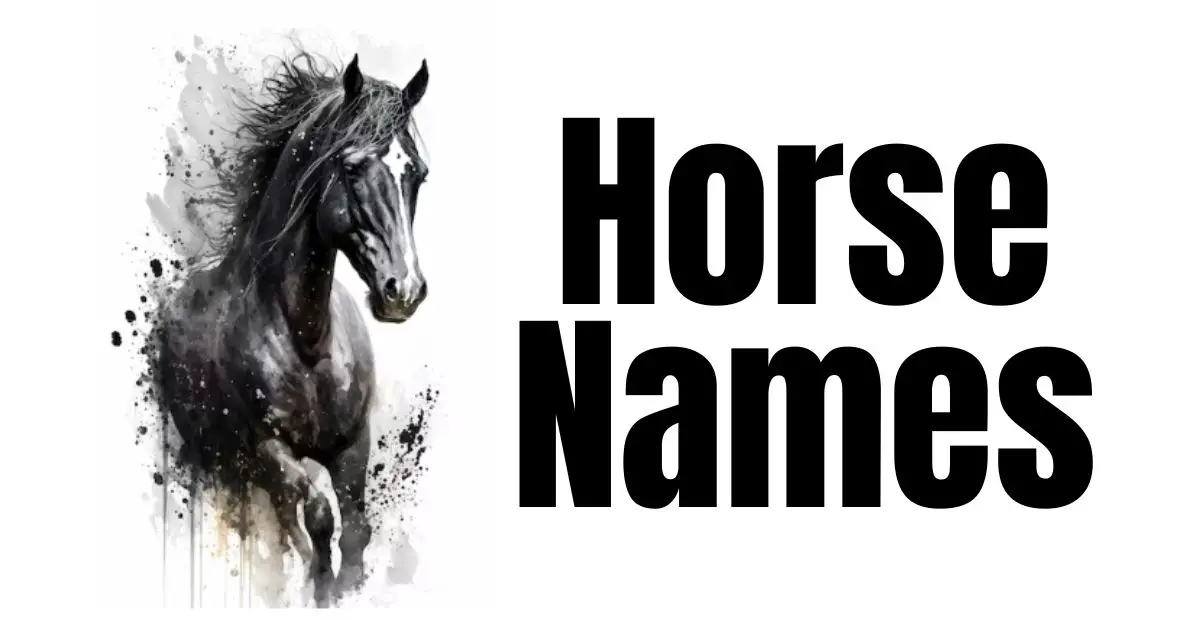 Horse Names