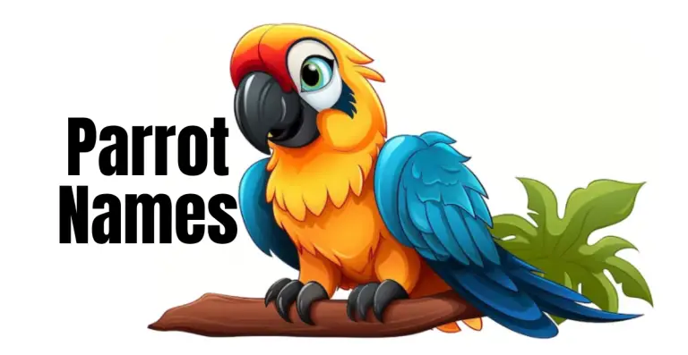 Discover the Perfect Parrot Names – Unleash Joyful Chirps with Our Unique Selection!