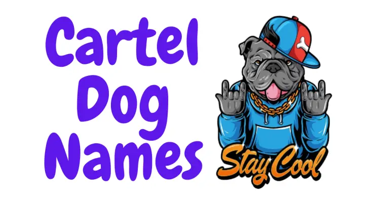 Cartel Dog Names: Powerful and Unique Titles for Your Fierce Canine