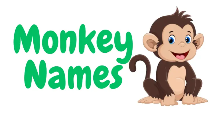 Playful Monkey Names to Bring Joy to Your World!