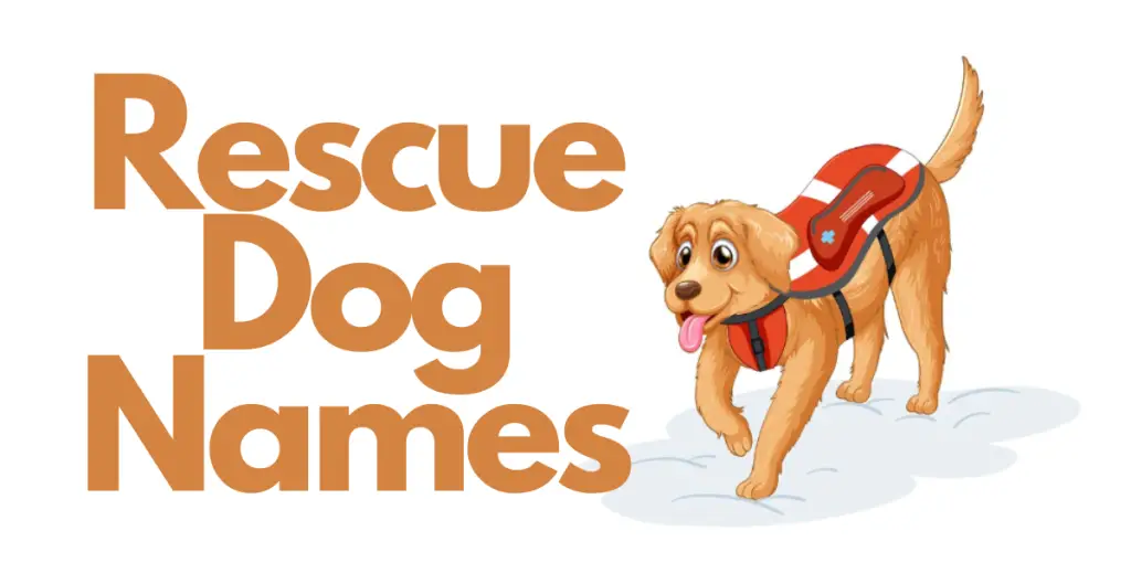 Rescue Dog Names