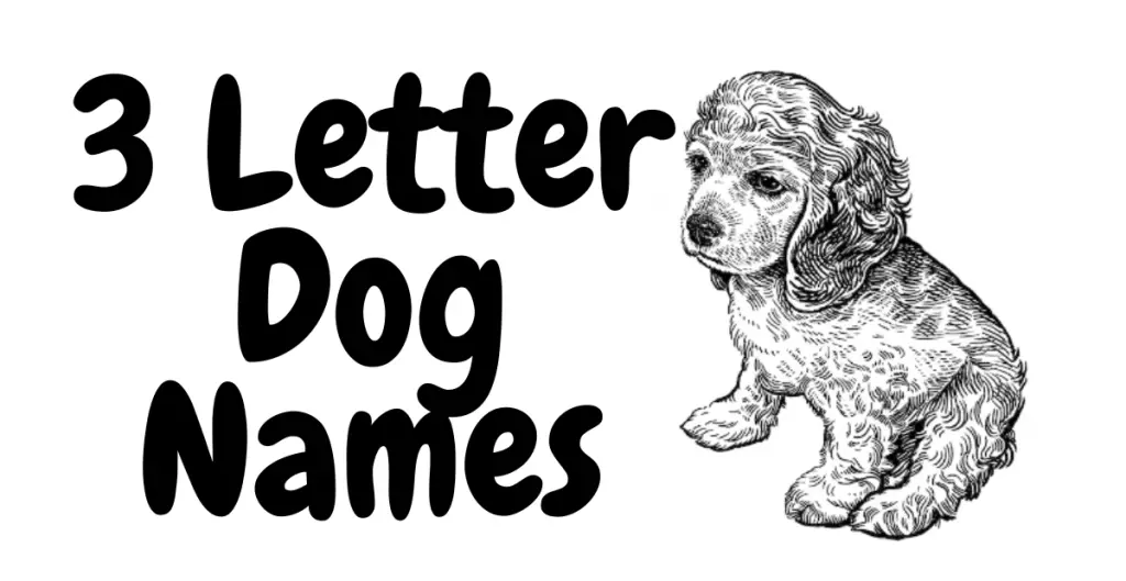 3 Letter Dog Names