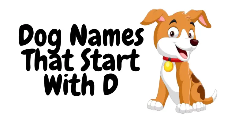 Doggie Directory: Delightful Dog Names That Start With D