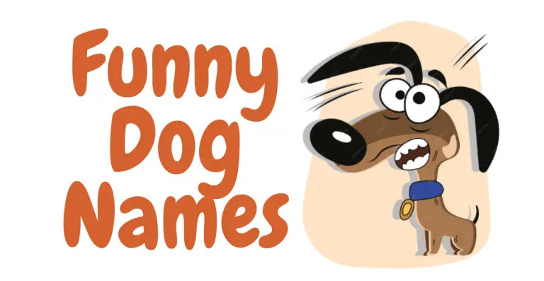 Unleash the Chuckles: Funny Dog Names to Brighten Your Day!
