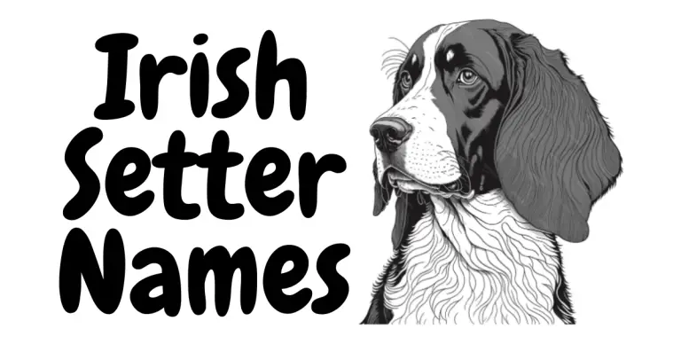 Lucky Paws: Irish Setter Names Inspired by Celtic Charm and Elegance!