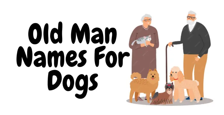 Vintage Vibes: Old Man Names for Dogs
