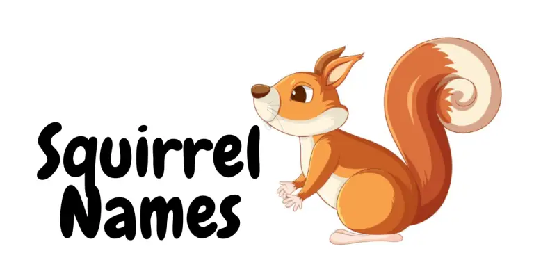 Squirrel Names: Cute and Creative Ideas for Naming Your Furry Friend