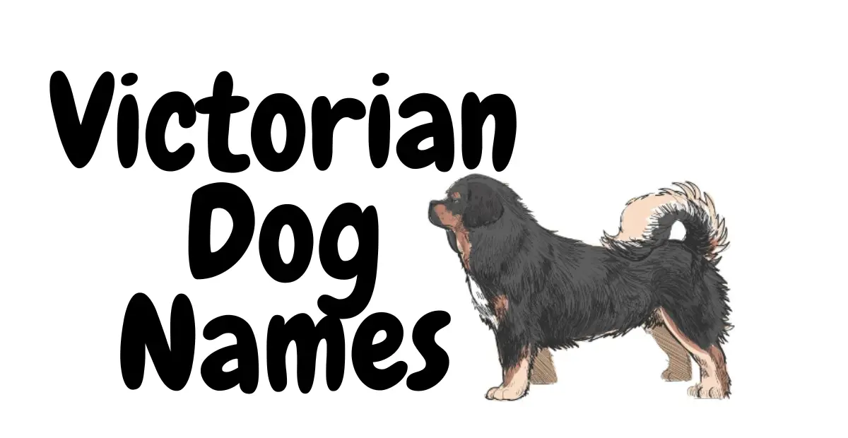 Victorian Dog Names