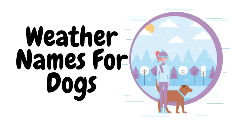 Forecasting Fun: Weather Names for Dogs for Your Canine Companion!