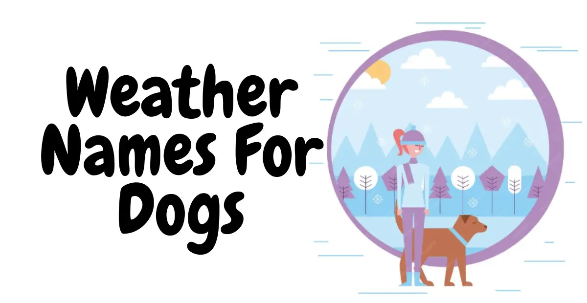Weather Names For Dogs