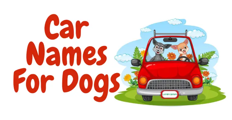 Top Picks: Car Names For Dogs for Your Furry Co-Pilot!