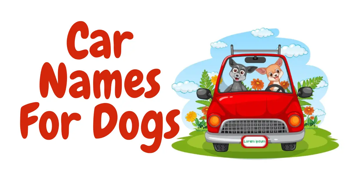 Car Names For Dogs