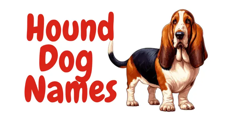 Bark Brigade: Classic and Cool Hound Dog Names for Your Loyal Companion!