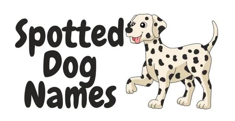 Top Spotted Dog Names: Unique Picks for Your Dappled Companion