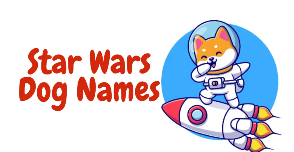 Star Wars Dog Names