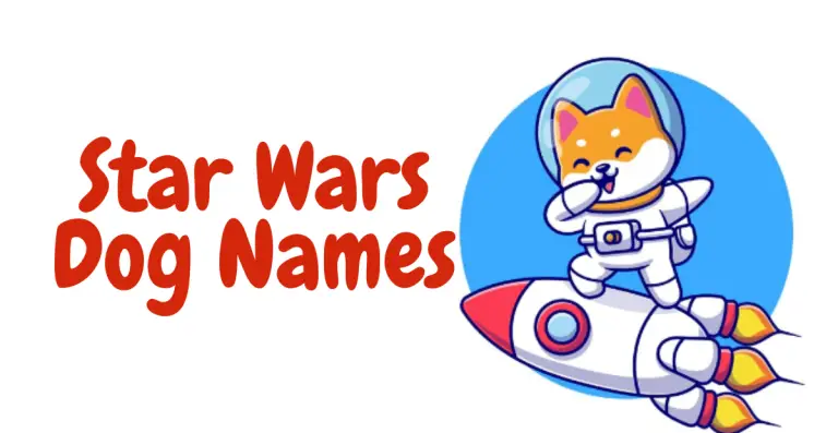 Galactic Paws: Legendary Star Wars Dog Names for Your Furry Jedi!