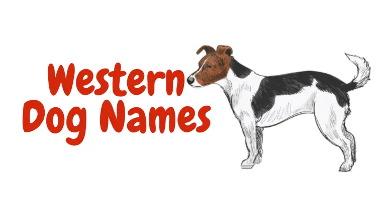 Frontier Friends: Rustic and Rugged Western Dog Names for Your Canine Companion!