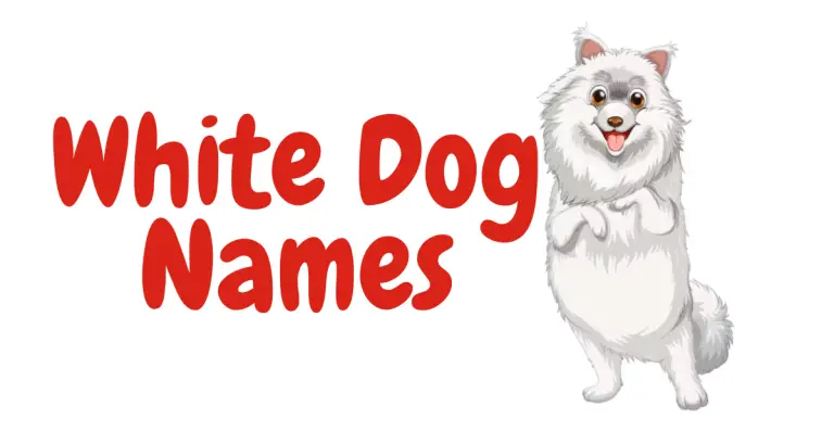 Creative and Unique White Dog Names to Make Your Pup Stand Out