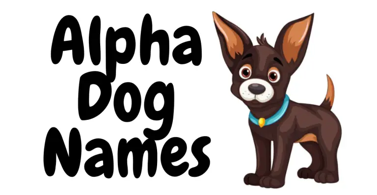 Top Dawgs: Alpha Dog Names That Command Attention!