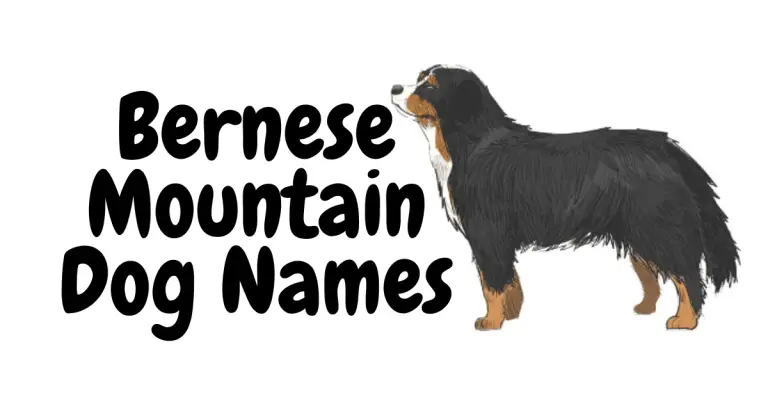 Majestic Mountain Pups: Perfect Bernese Mountain Dog Names