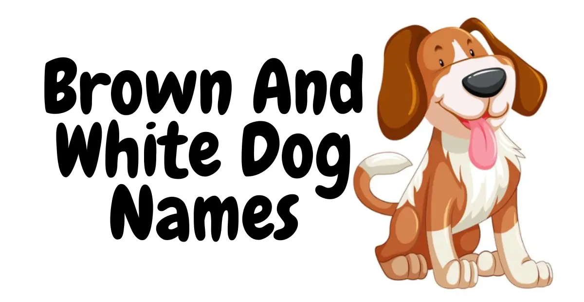 Brown And White Dog Names