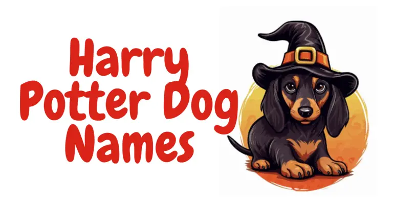 Pawfect Potter Pals: Magical Harry Potter Dog Names to Enchant Your Canine Companion