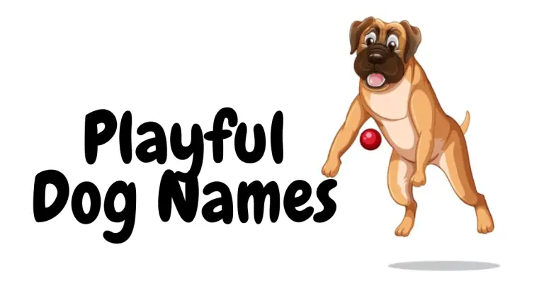 Playful Dog Names: Fun and Lively Ideas for Your Canine Companion
