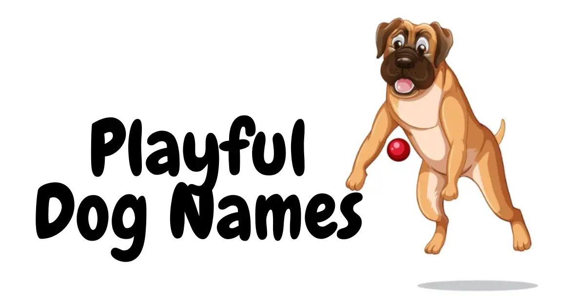 Playful Dog Names