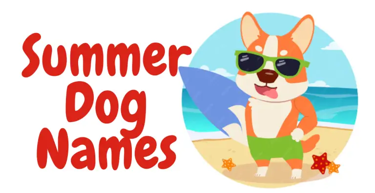 Creative Summer Dog Names to Brighten Your Pup’s Seasonal Spirit!
