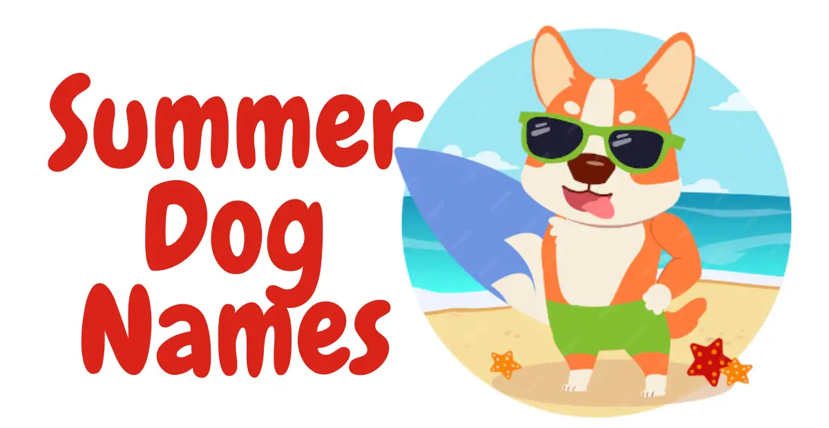 Summer Dog Names