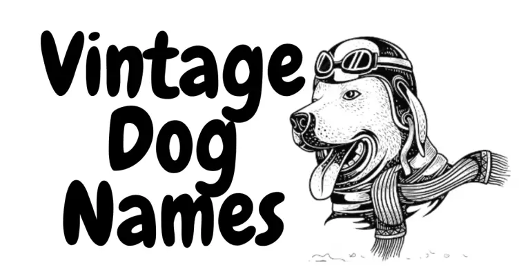 Classic Canine Charm: Vintage Dog Names That Stand the Test of Time!